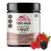 Terra Origin, Healthy Gut, Berry, Поддержка пищеварительной системы, 243гр