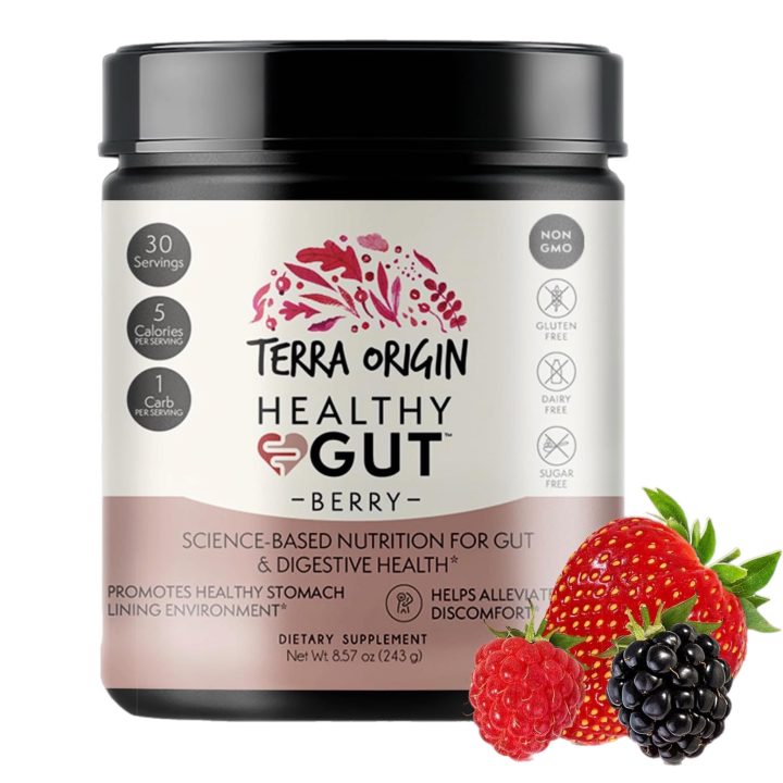 Terra Origin, Healthy Gut, Berry, Поддержка пищеварительной системы, 243гр