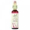 Bach, Original Flower Remedies, Larch, лиственница, уверенность и спокойствие, 20 мл