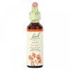 Bach, Original Flower Remedies, Aspen, осина, безопасность и спокойствие, 20 мл