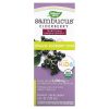 Nature's Way, Сироп бузины для детей, Sambucus for Kids, Organic Elderberry, 120мл
