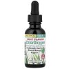 Herbs Etc., ChlorOxygen, концентрат хлорофилла, без спирта, мята, 30 мл