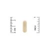 Серрапептаза, Serrapeptase 40 000 SPUs, Lake Avenue, Proteolytic Enzyme