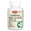 Jarrow Formulas, Пребиотик XOS + a-GOS, здоровье кишечника, 90 жевательных таблеток