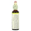 Bach, Original Flower Remedies, белый каштан, спокойствие и умиротворение, White Chestnut, 20 мл