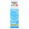 Bioray Inc., NDF Calm, для подпитки печени и вывода токсинов, для детей, с ванильным вкусом, 60 мл