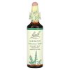 Bach, Original Flower Remedies, репейник, снимает усталость и успокаивает, Agrimony, 20 мл