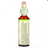 Bach, Rescue Remedy, Mustard, горчица, возвращает радость и бодрость, 20мл